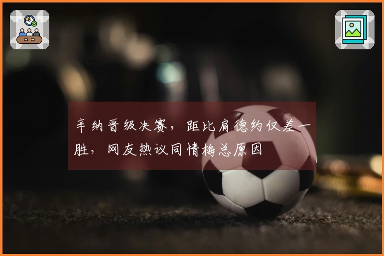 辛纳晋级决赛，距比肩德约仅差一胜，网友热议同情梅总原因